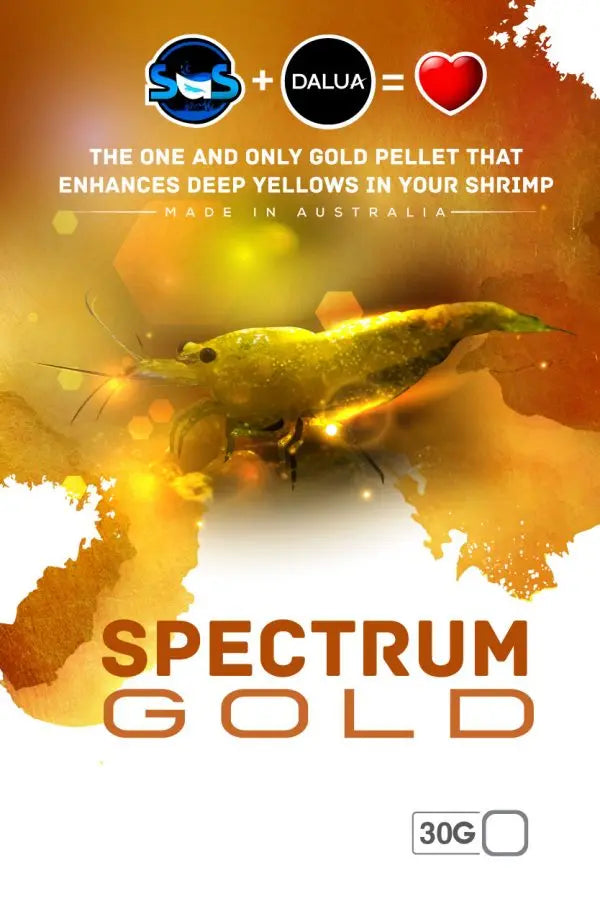 Spectrum Gold 30g-1