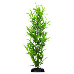Ecoscape XXLarge Hygrophilia-1