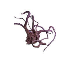 Dymax Tweety Wood Small-1