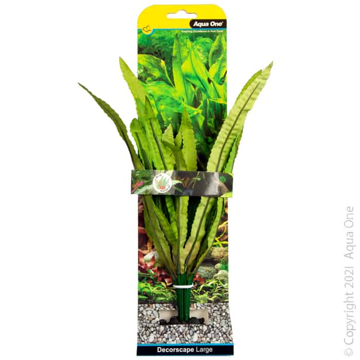 Silk Plant African Onion Plant Lg-1