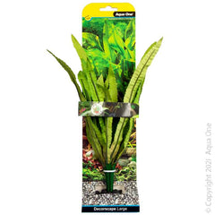 Silk Plant African Onion Plant Lg-1