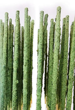 Green Backs Shrimp Pops 10 Pk by SAS-1