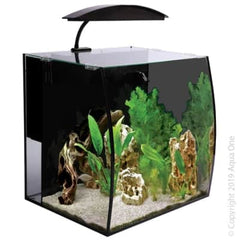 Arc 46 Glass Aquarium 46L 40L X 34.5D X 40cm H-1