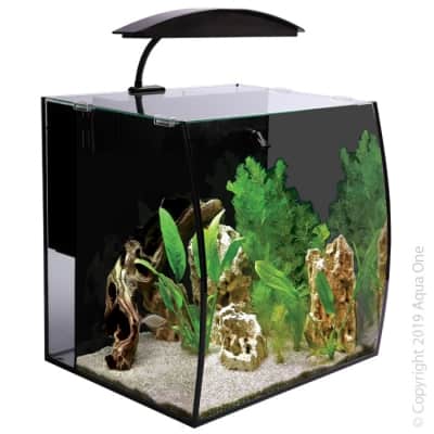 Arc 46 Glass Aquarium 46L 40L X 34.5D X 40cm H