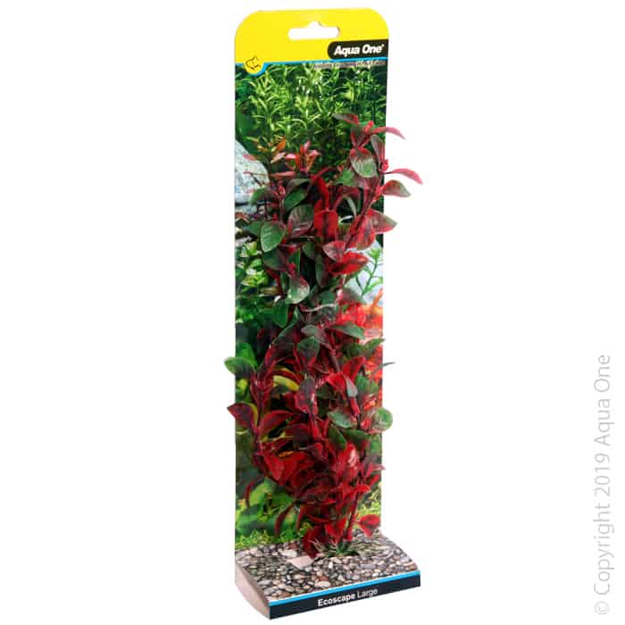 Ecoscape Large Hygro Red-1