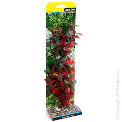 Ecoscape Large Hygro Red-1