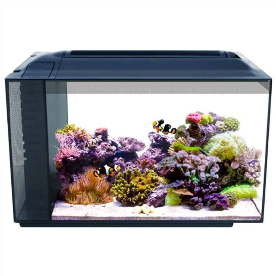 Fluval EVO 52 Litre Saltwater All in One Kit-2