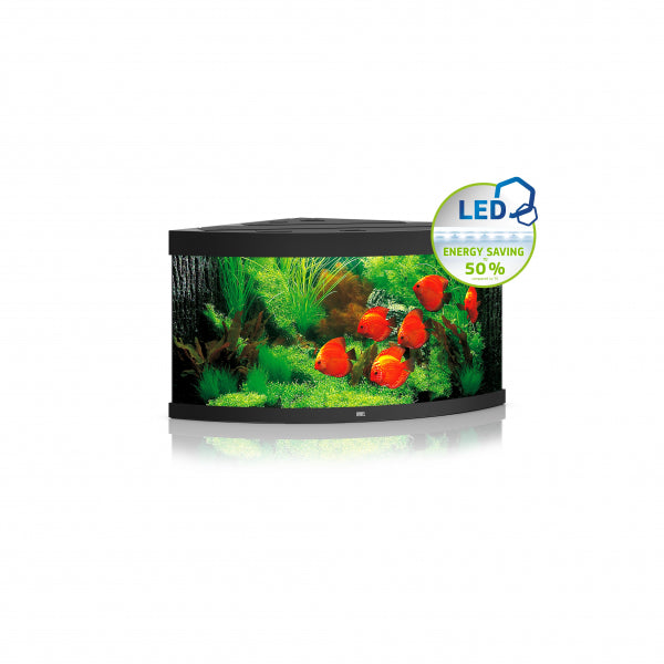 Juwel Trigon 350 LED Aquarium Black-1