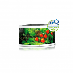 Juwel Trigon 350 LED Aquarium White-1