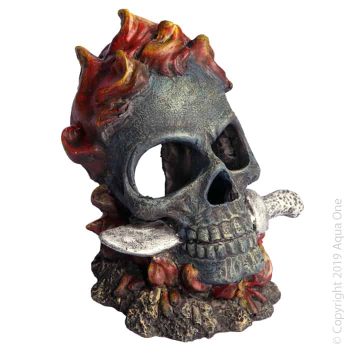 Ornament Skull with Fire and Knife 11x11x12.5cmH-1