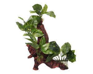Ornament Driftwood With Variegated Pothos 30.5x21x41.5cmh-1