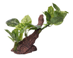 Ornament Driftwood With Variegated Pothos 33x15x26cmh-1