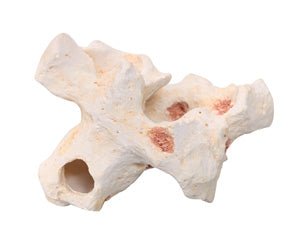 Ornament Rock Coral 13x10.5x11.5cmH-1