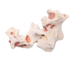 Ornament Rock Coral 20x13x11cmH-1