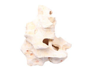 Ornament Rock Coral 20.5x17x15cmh-1