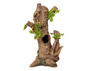 Ornament Umbrella Pine Stump Medium