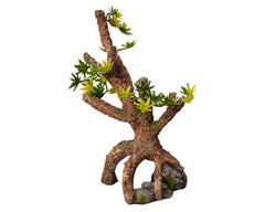 Ornament Umbrella Pine Sapling 13.5wx8dx20.5cmh-1
