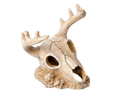 Ornament Deer Skull 14.5wx13.5x15.5cmh-1