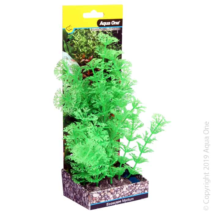 Ecoscape Medium Ambulia Green-1