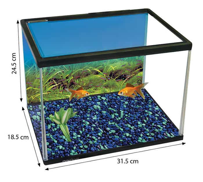 Splish & Splash Starter Kit Sm 14L Glass-2