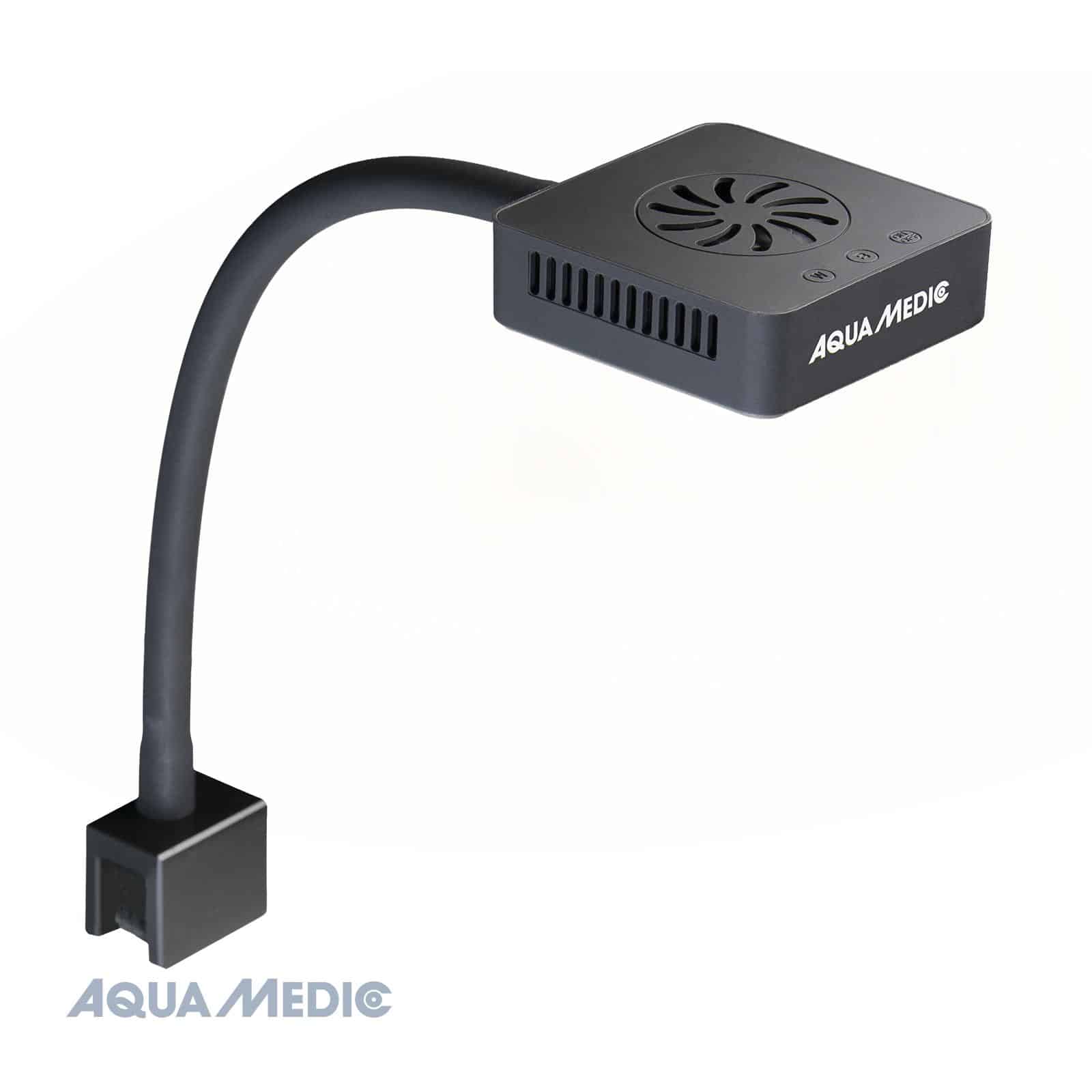 Qube 30 Plant-1