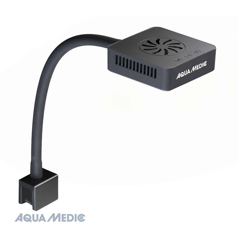 Qube 30 Plant-1