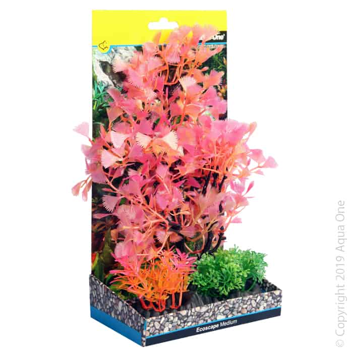 Ecoscape Medium Fan Palm Red-1