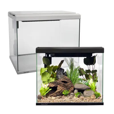 LifeStyle 40 Complete Glass Aquarium-1
