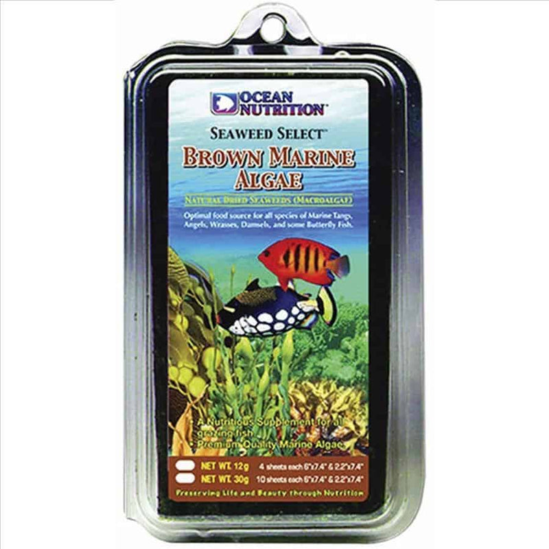 Brown Seaweed 12g-1