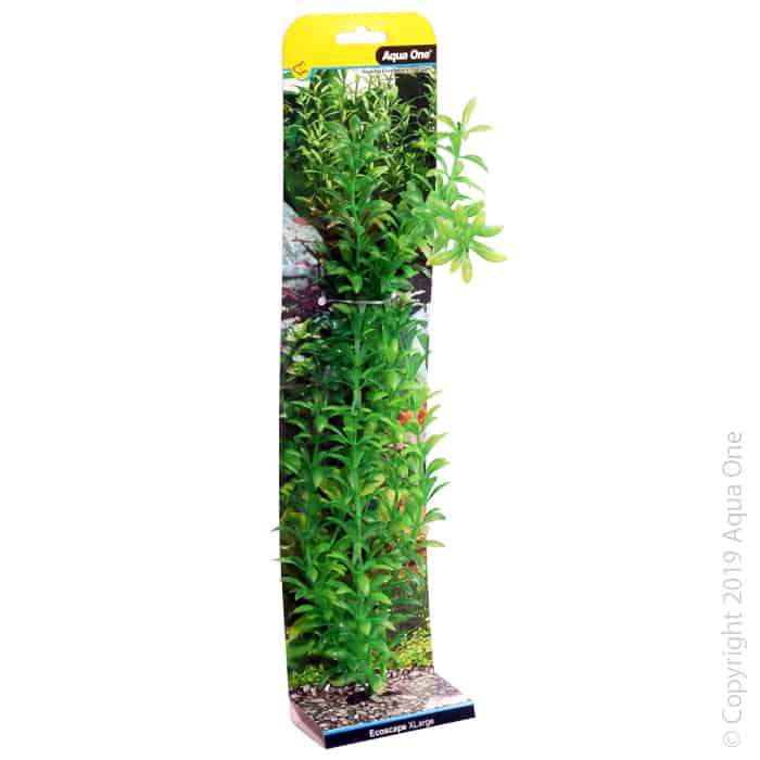 Ecoscape Xlarge Ludwigia Green-1