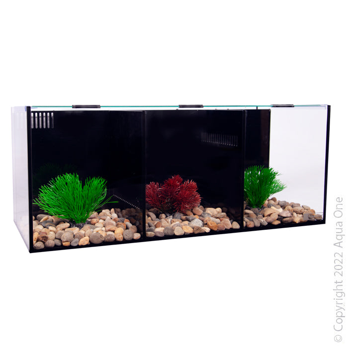 Betta Condo Trio 60x24x24cm-1