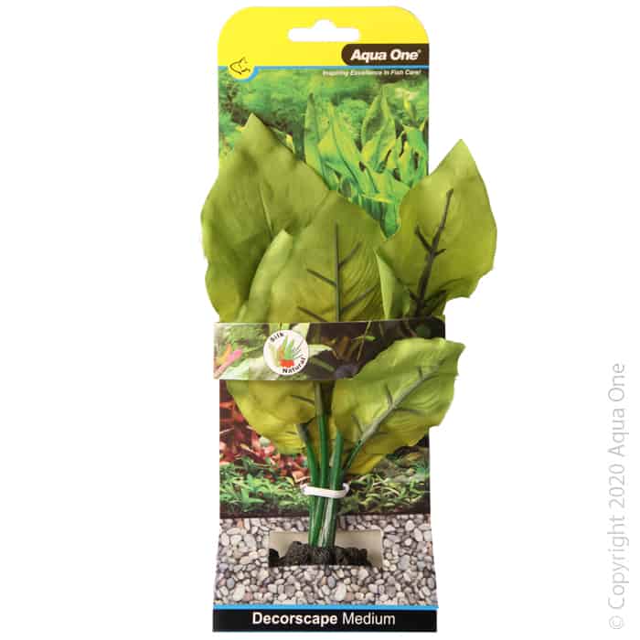 Silk Plant Sword Radicans Md-1