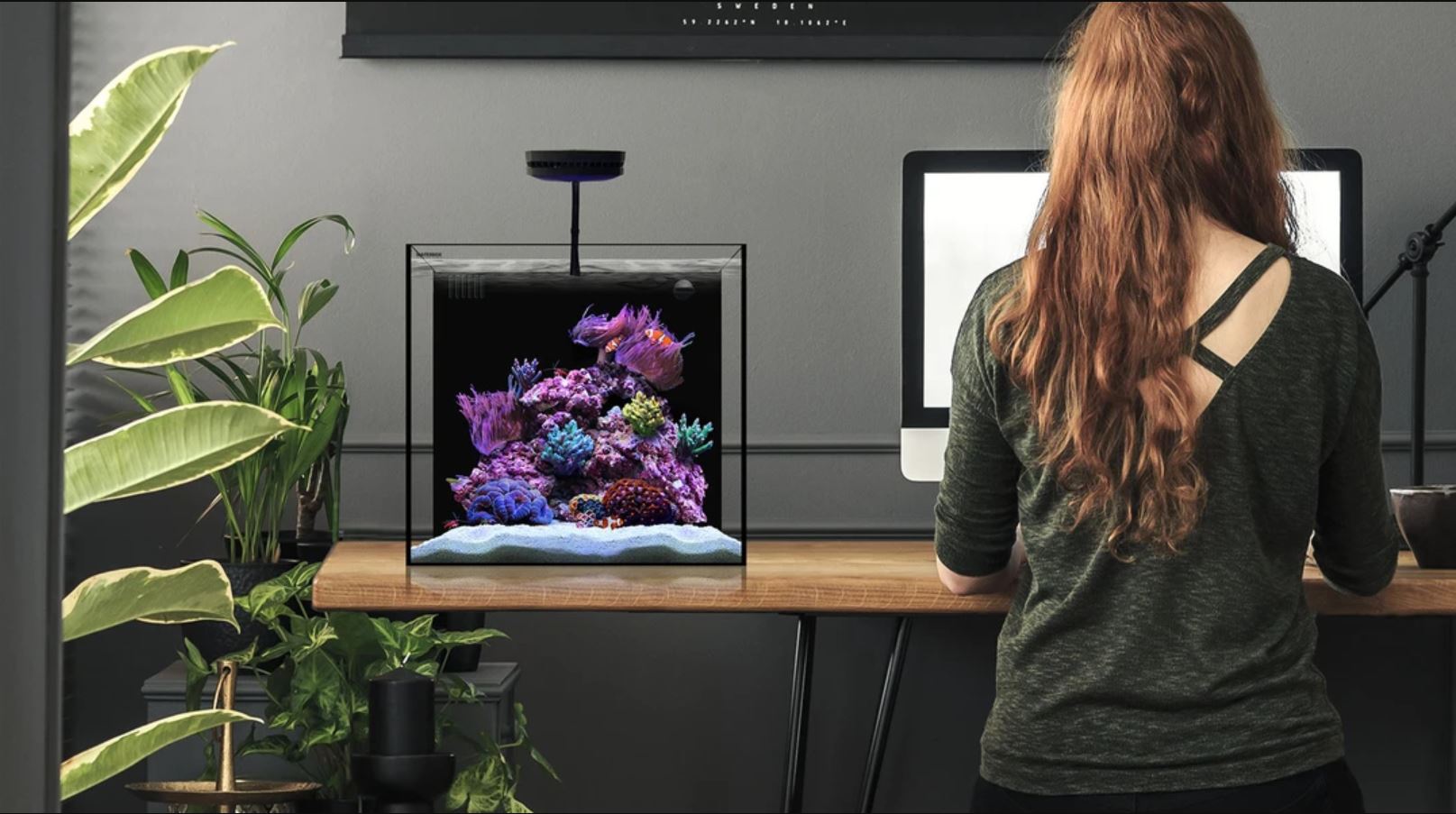 WaterBox AIO Cube 20-1