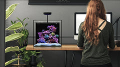 WaterBox AIO Cube 20-2