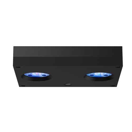 Hydra 32 HD Black-1