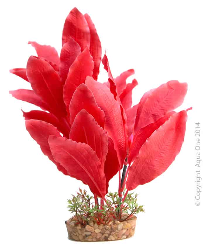 Silk Plant Red Sword W Gravel Base L
