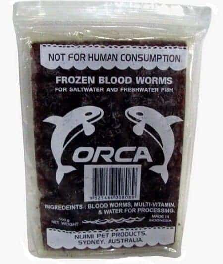 Orca blood worms