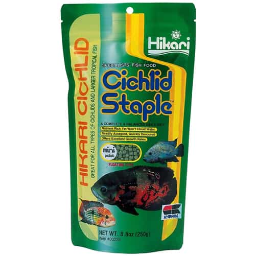 Hikari Cichlid Staple Pellet-1