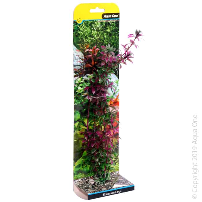 Ecoscape Large Rotala Red-1