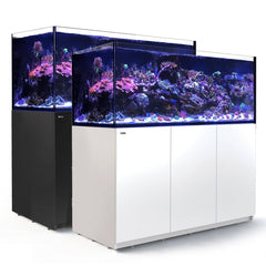 Red Sea Reefer 625 G2+/Deluxe/Max-1