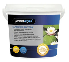 PondMAX Clarifier Bacteria 5Kg-1