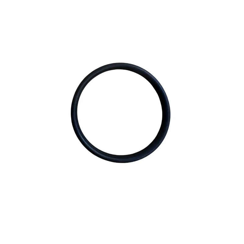 MASTER CODE Quartz Sleeve O Ring to suit Series II Pressure Filters-1