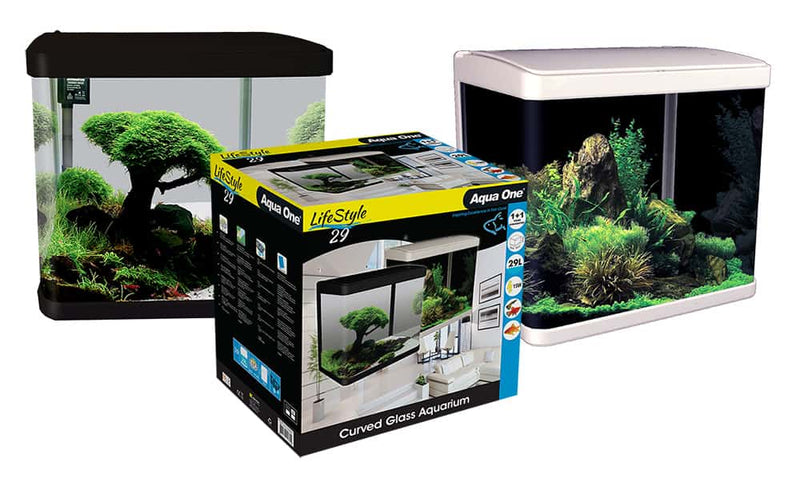 LifeStyle 29 Complete Glass Aquarium-1