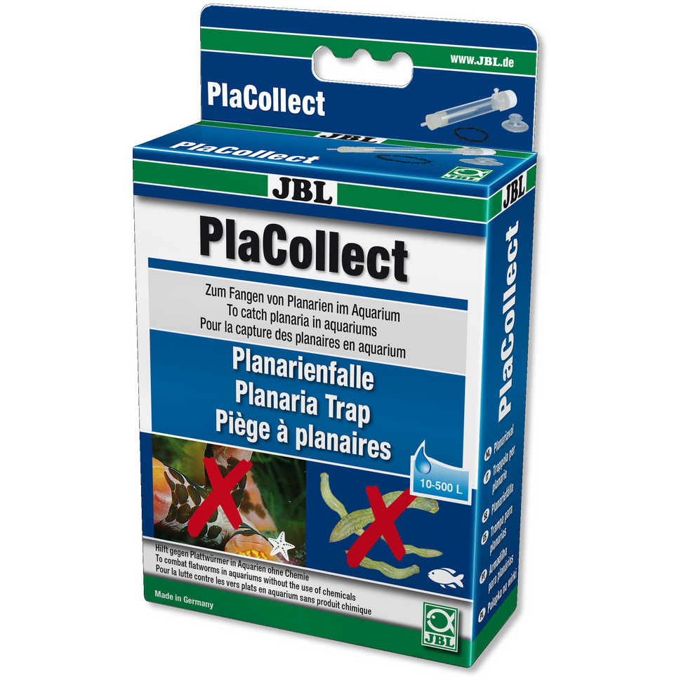 JBL PlaCollect-1