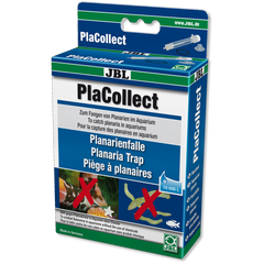 JBL PlaCollect-1