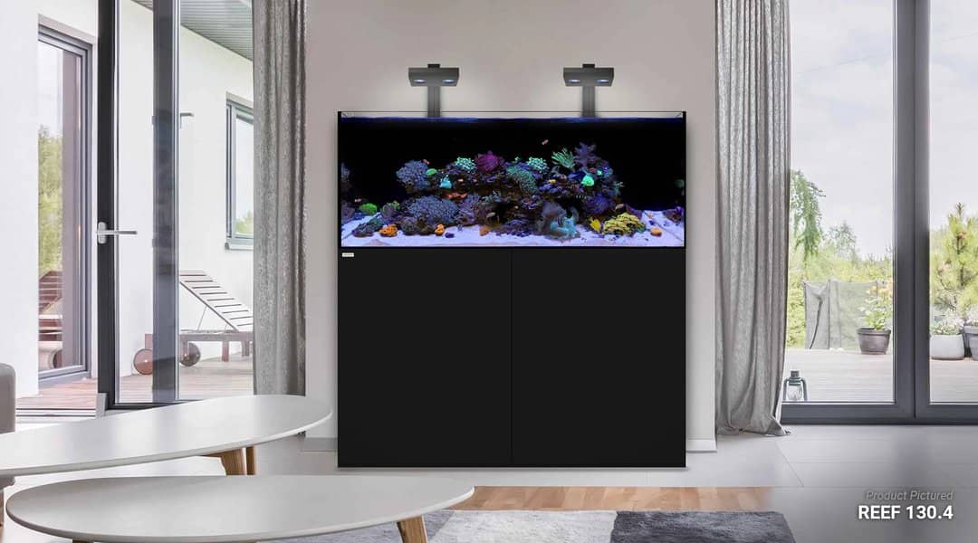 Waterbox Reef Series