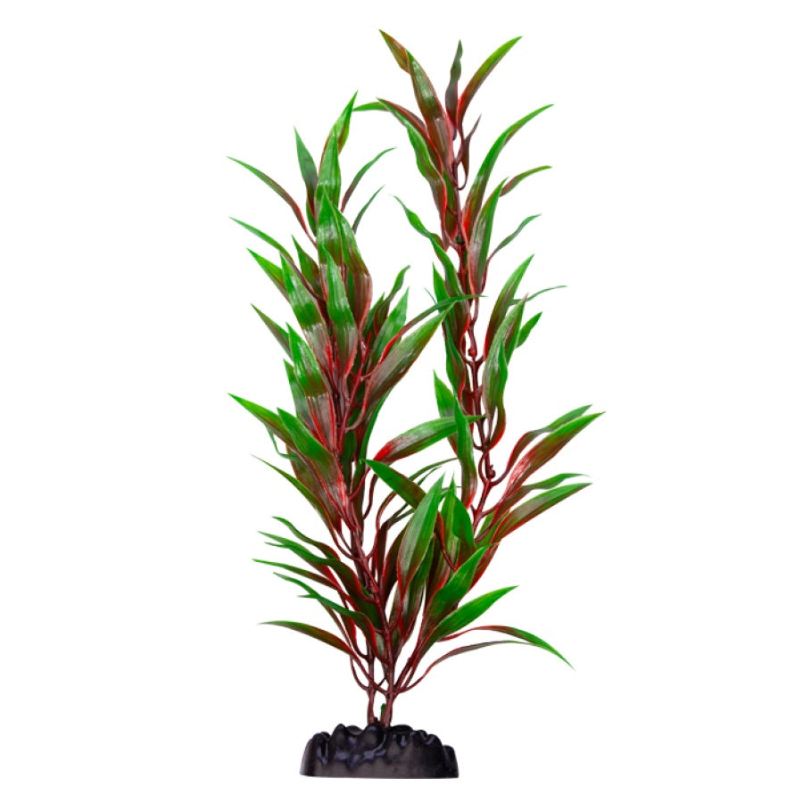 Ecoscape XXLarge Red Ludwigia-1