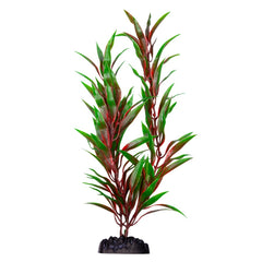 Ecoscape XXLarge Red Ludwigia-1