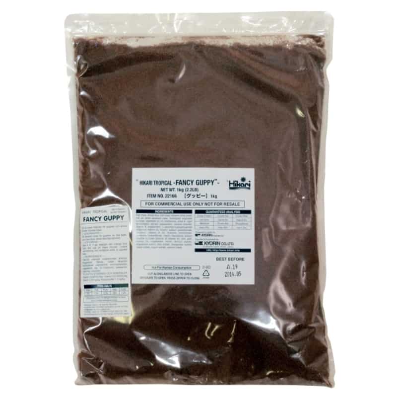 Fancy Guppy - 1Kg-1