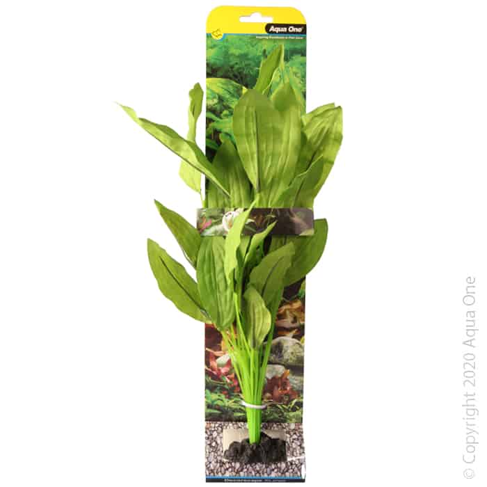 Silk Plant Amazon Broad Leaf XL-1